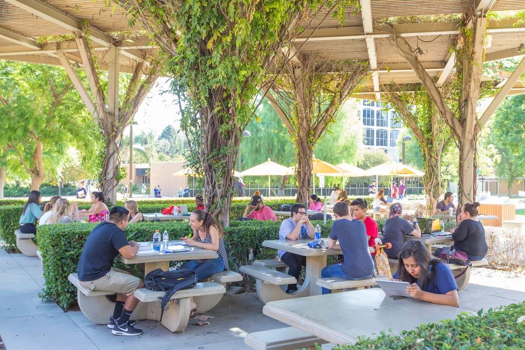 Image for California State University, Northridge